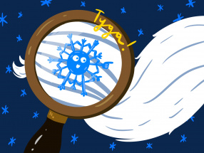 Квест "В поисках Деда Мороза"